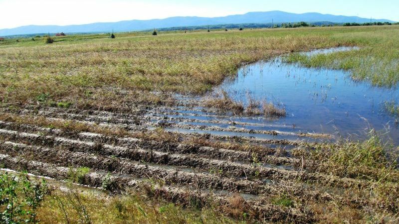 РАБОТА НА ПЕРЕУВЛАЖНЕННЫХ УЧАСТКАХ