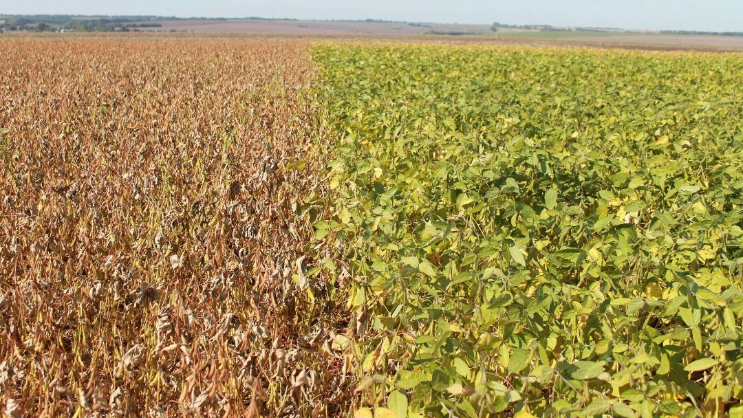 РАВНОМЕРНОСТЬ ПОКРЫТИЯ ПОЛЯ